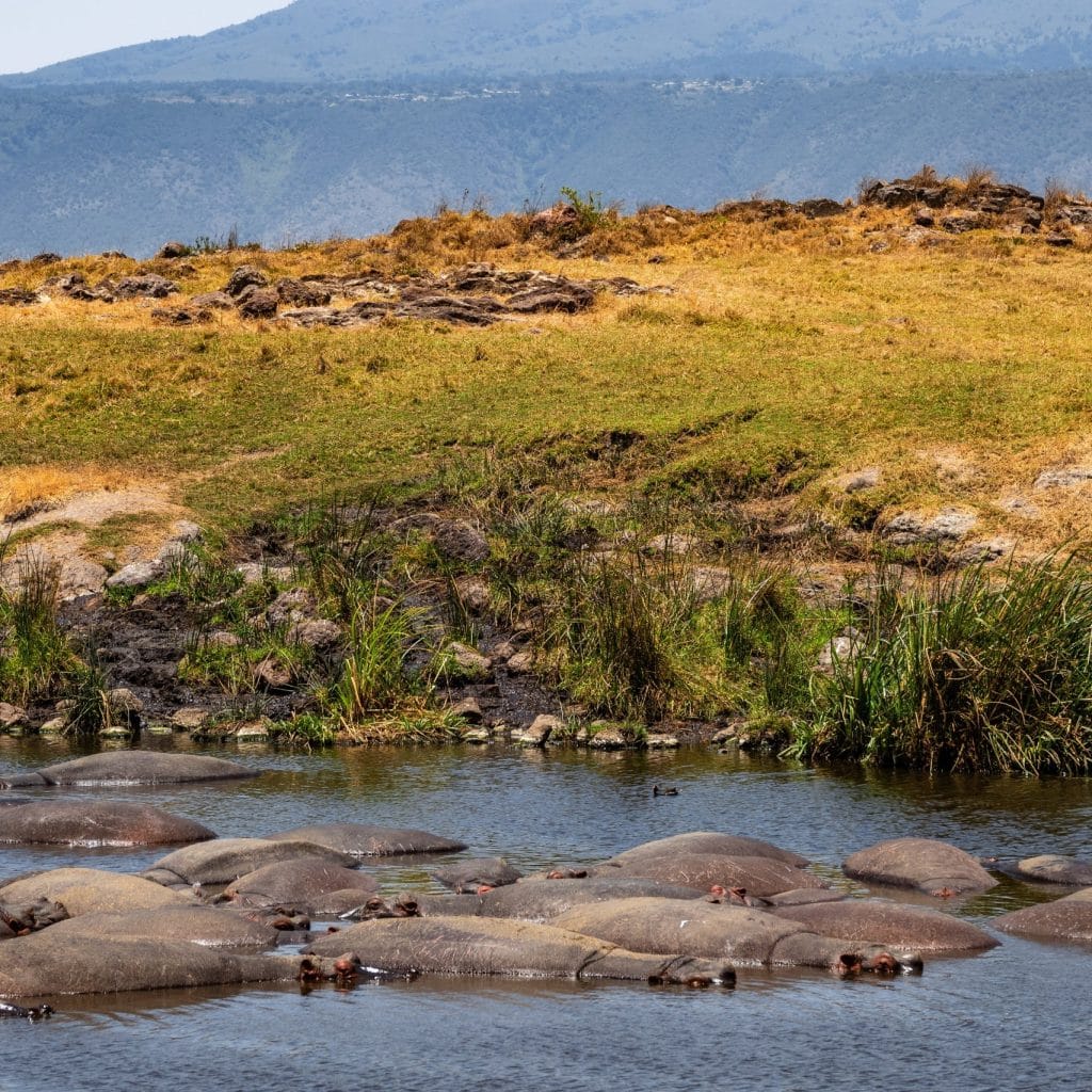 Travel Destinations Ngorongoro Crater Featured