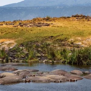 2 days safari – Ngorongoro Crater