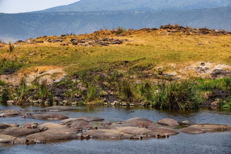 Travel Destinations Ngorongoro Crater Featured