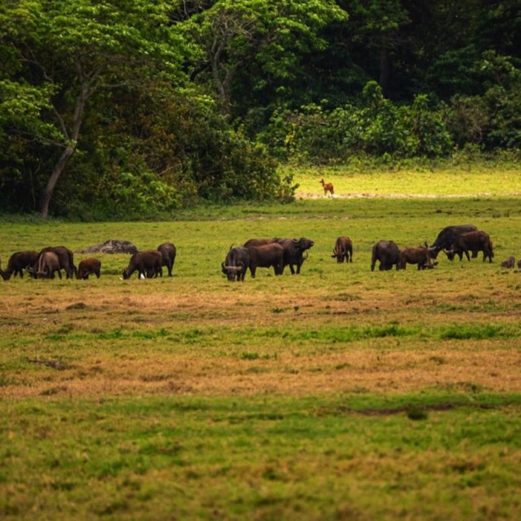 Trips Arusha National Park6