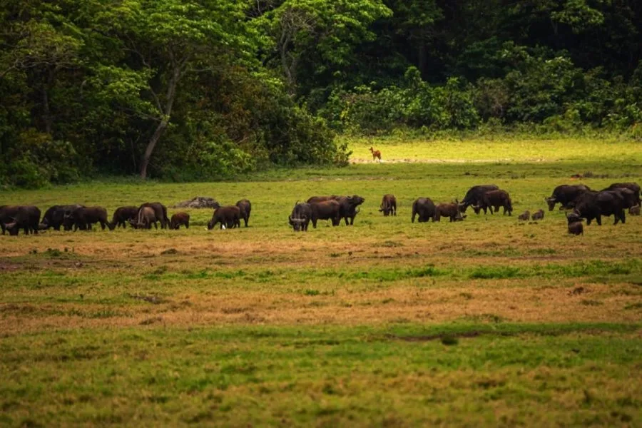Trips Arusha National Park6