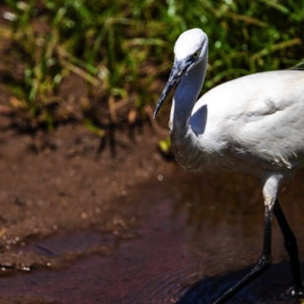 Trips Manyara National Park