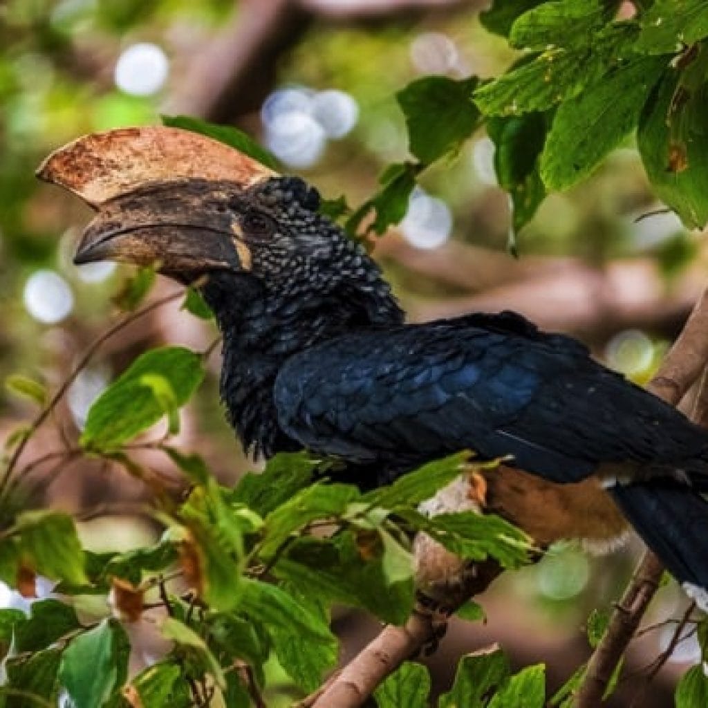 Trips Manyara National Park7