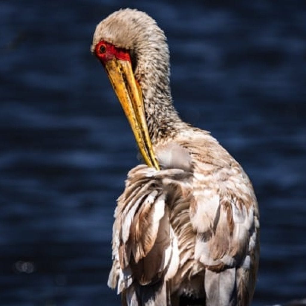Trips Ngorongoro Crater13