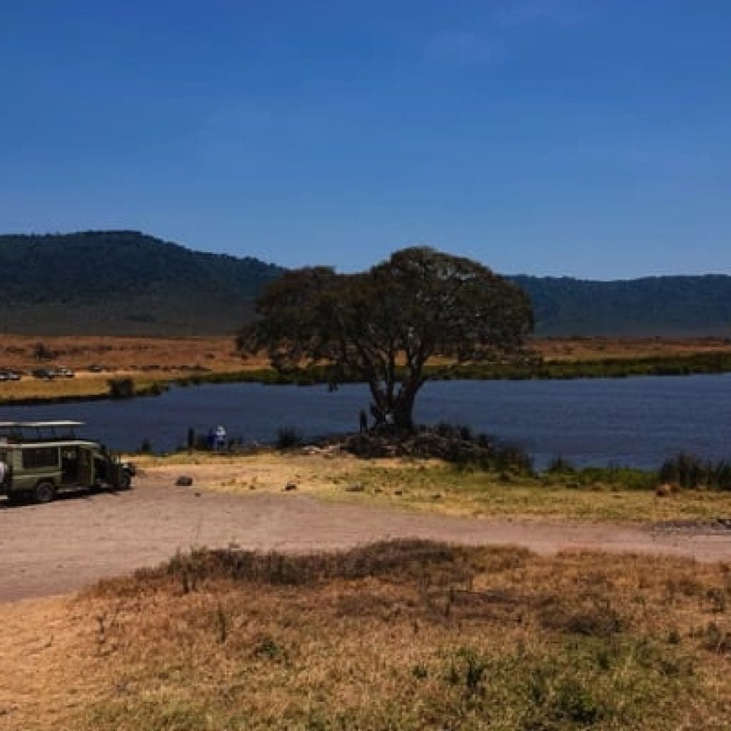 Trips Ngorongoro Crater15