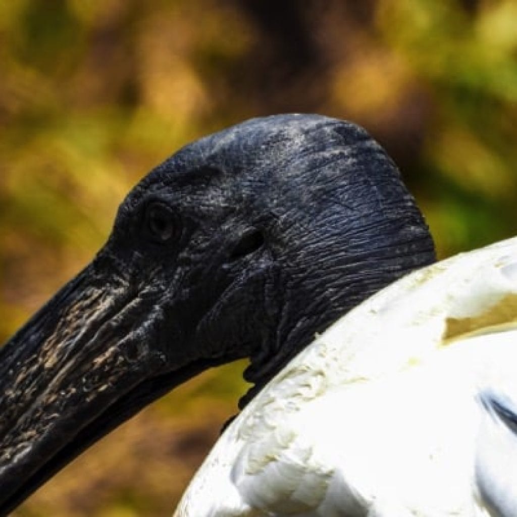 Trips Ngorongoro Crater8