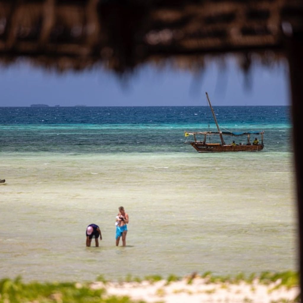 10 Days   Fly in Drive out Serengeti & Crater + Zanzibar