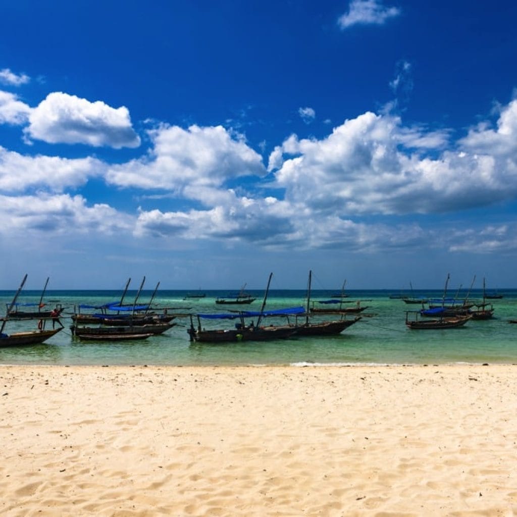 12 Days   Drive in Fly out Migration Safari & Crater + Zanzibar