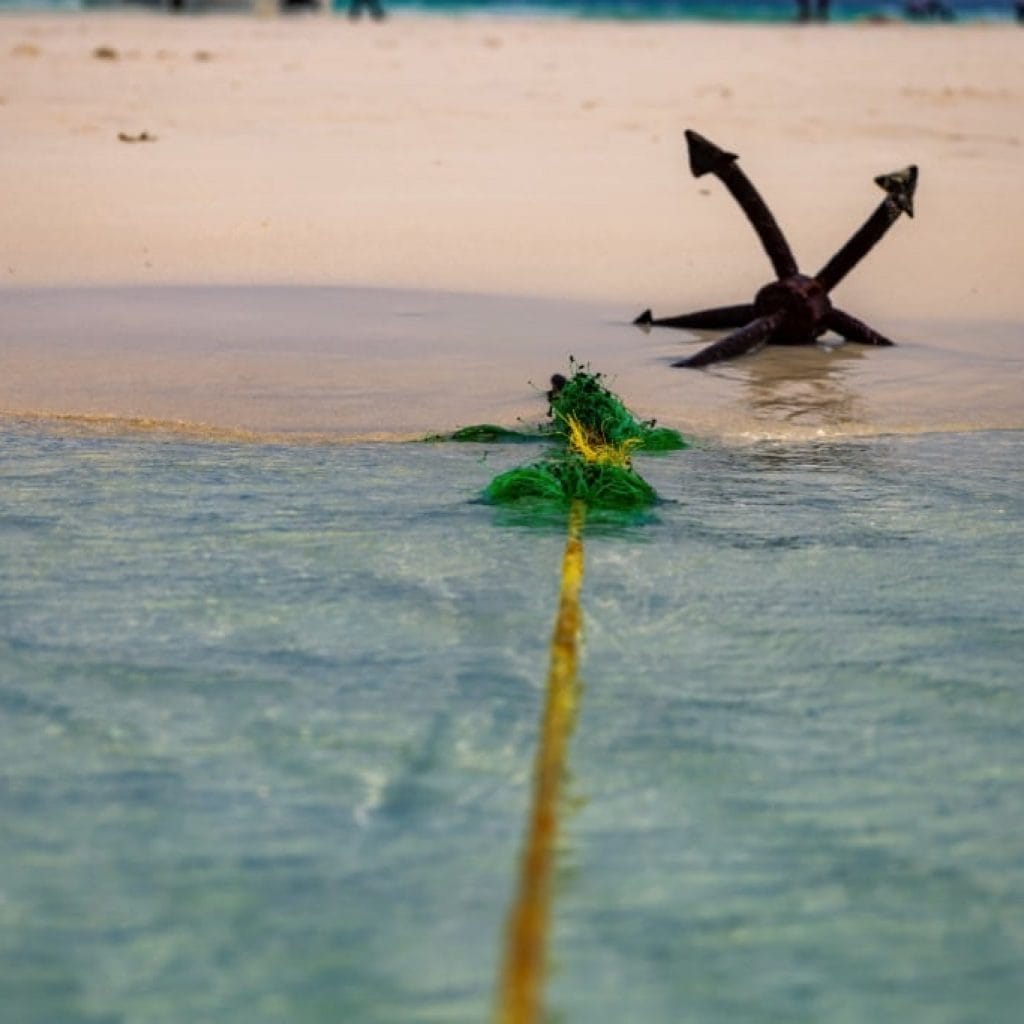 12 Days   Drive in Fly out Migration Safari & Crater + Zanzibar
