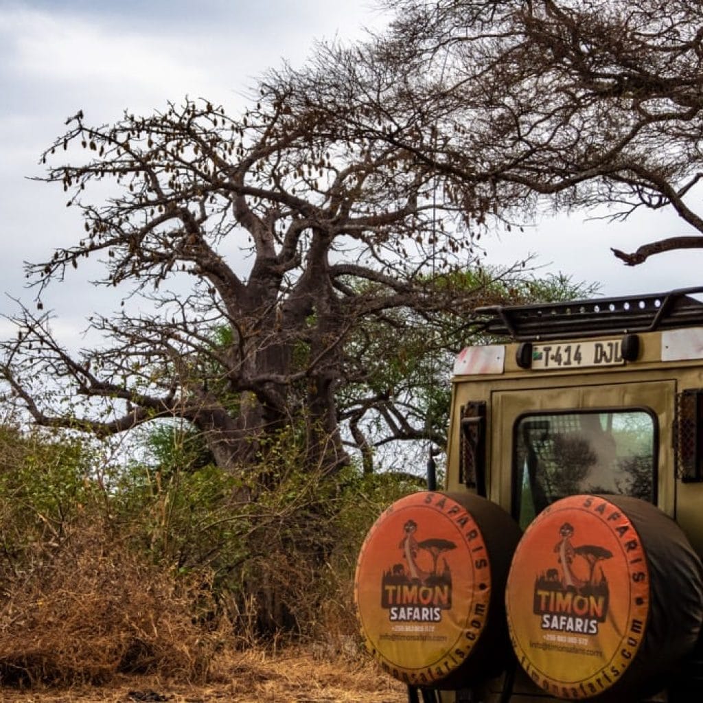 12 Days   Drive in Fly out Migration Safari & Crater + Zanzibar