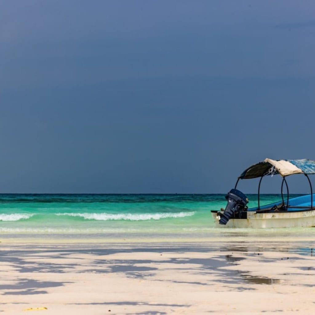 9 Days   Drive in Fly out Hyena Safari + Zanzibar