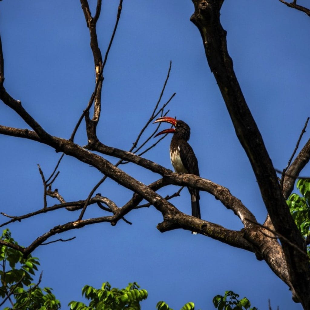 Lake Manyara National Park 9 days Photographer Safari