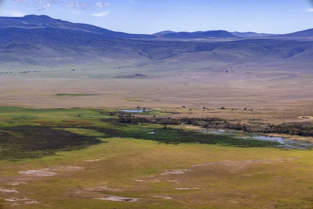 Ngorongoro Crater 5 days Family Safari