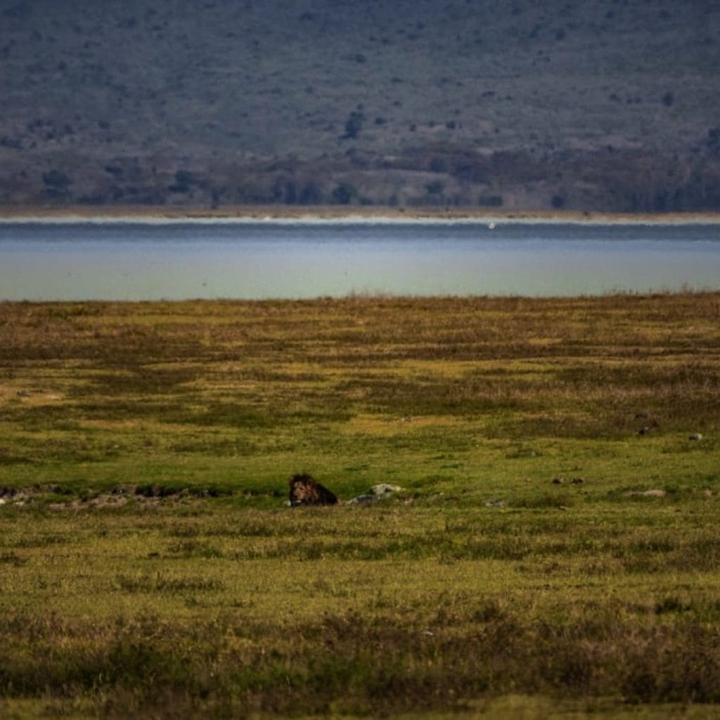 Ngorongoro Crater 7 days Baobab Safari
