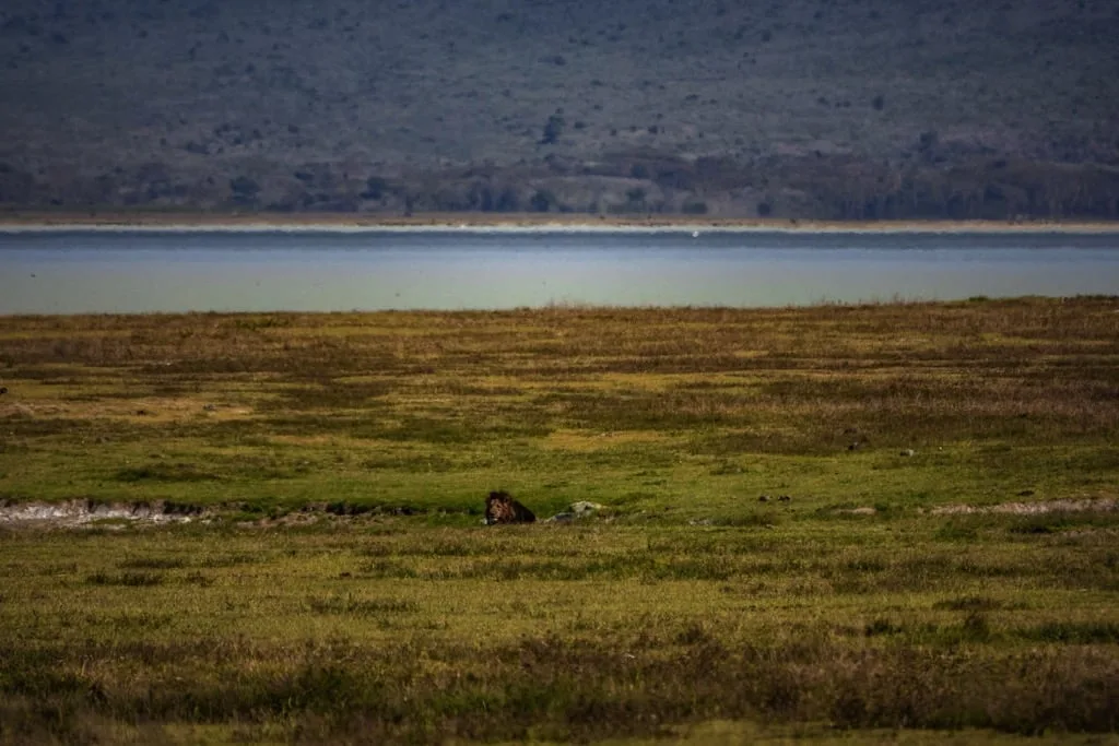 Ngorongoro Crater 7 days Baobab Safari