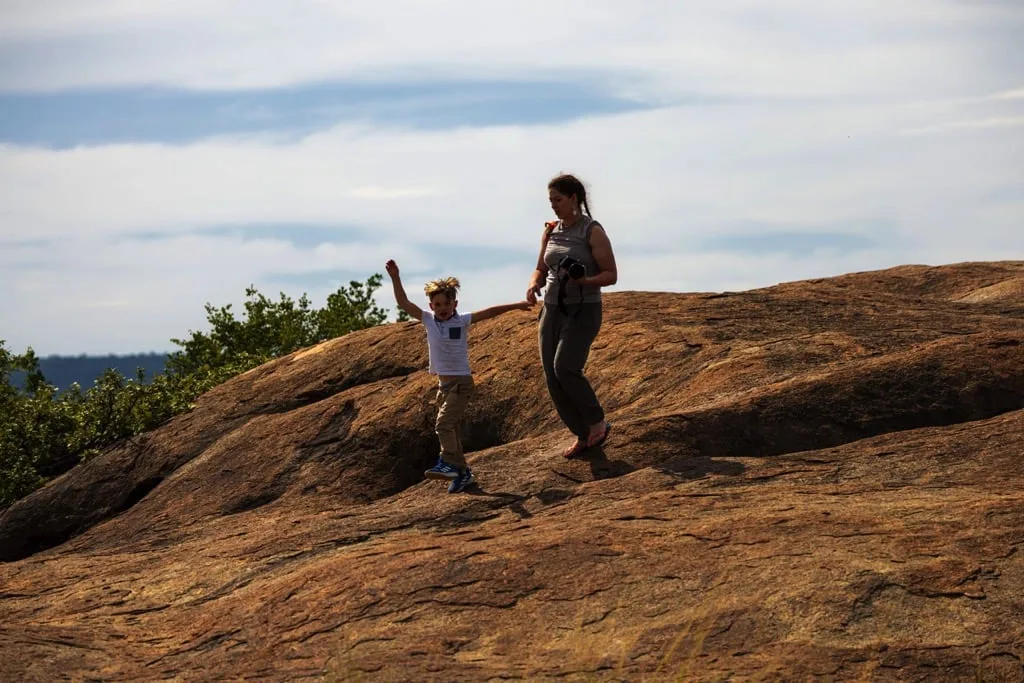 Serengeti National Park 6 days Founders Safari