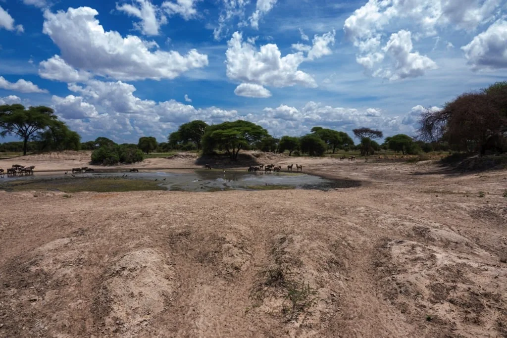 Tarangire National Park 6 days Founders Safari
