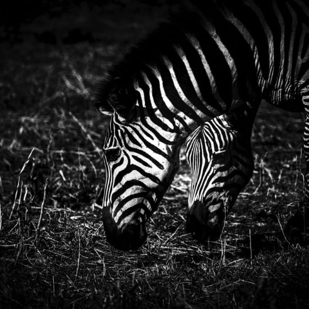 Tarangire National Park 6 days Signature Safari