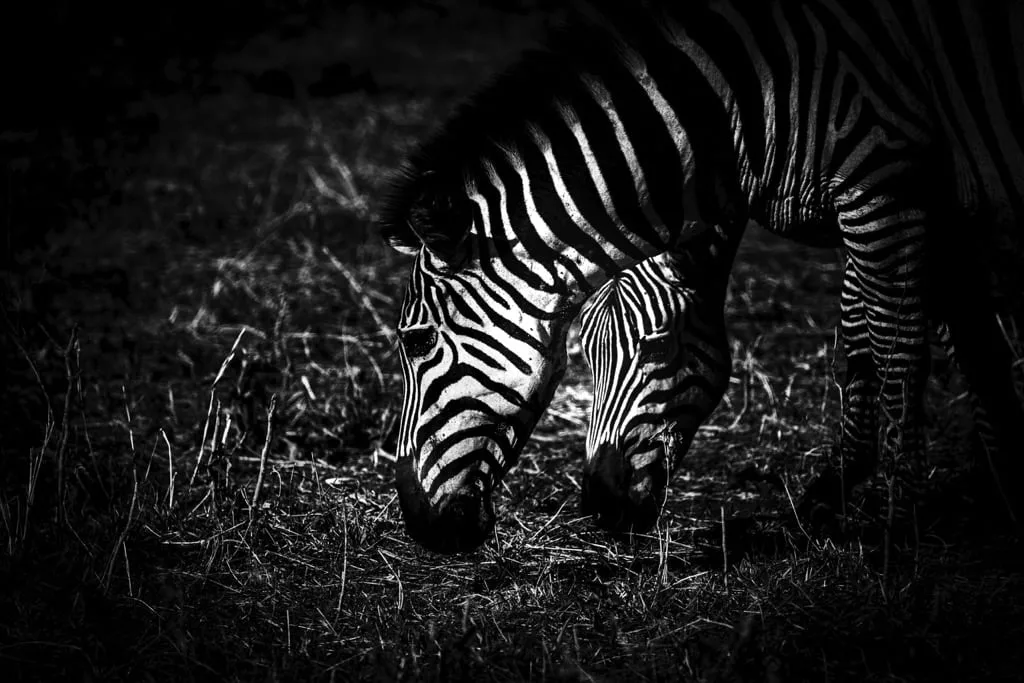 Tarangire National Park 6 days Signature Safari