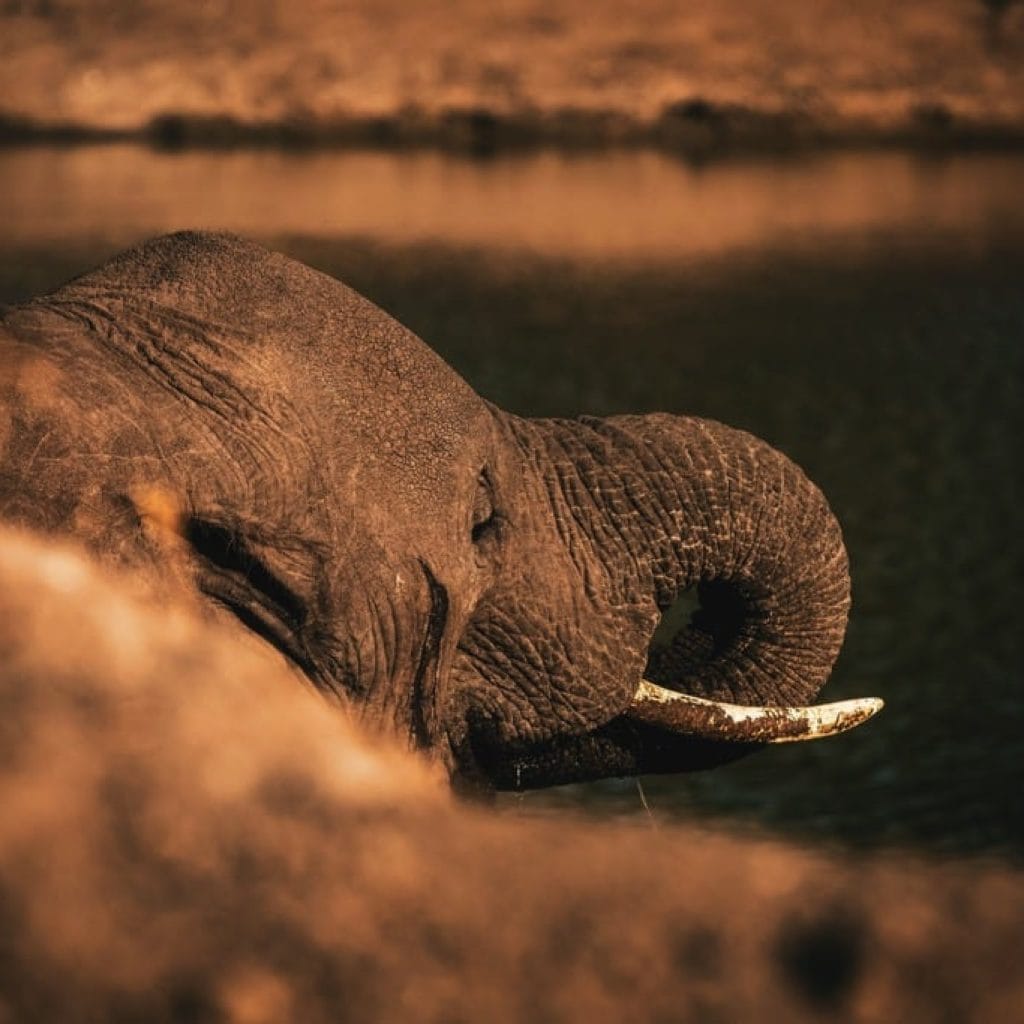 Tarangire National Park 8 days Vacation Tanzania Safari