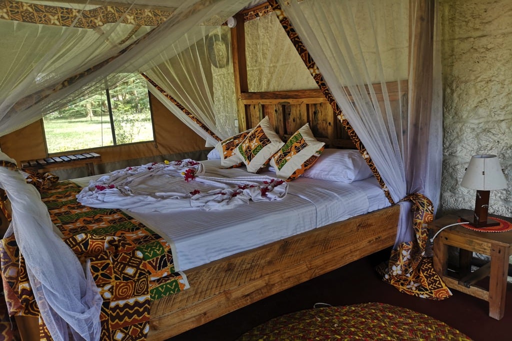 Africa Safari Lake Natron