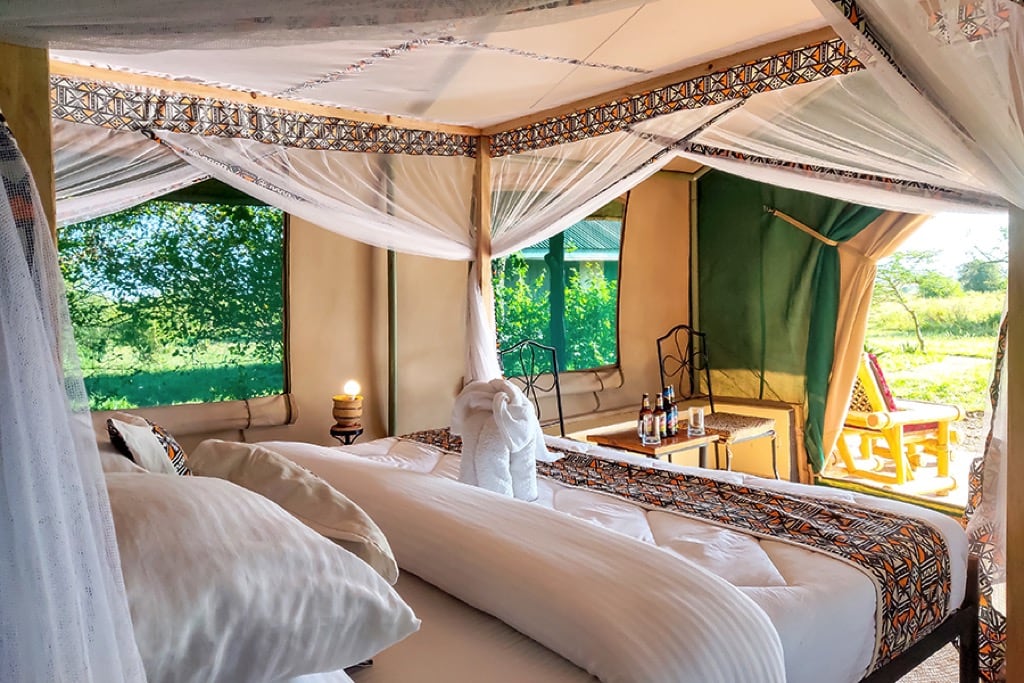 Africa Safari Serengeti Ikoma