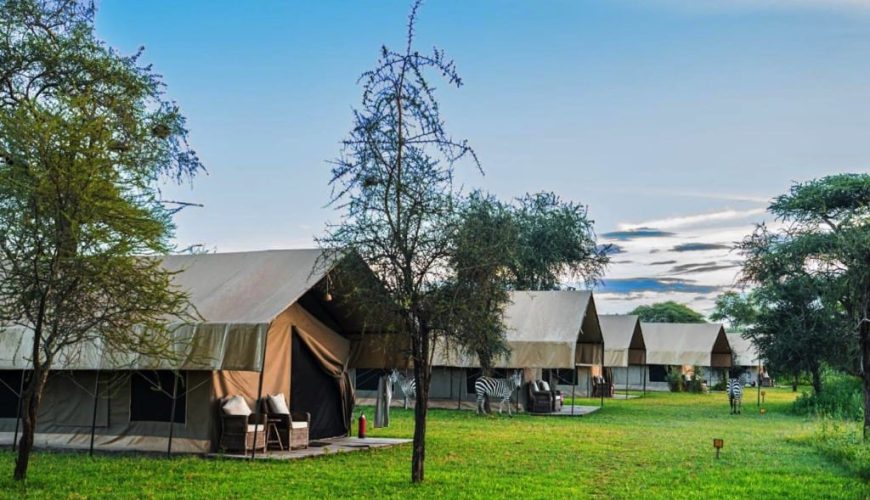 Africa Safari South Serengeti