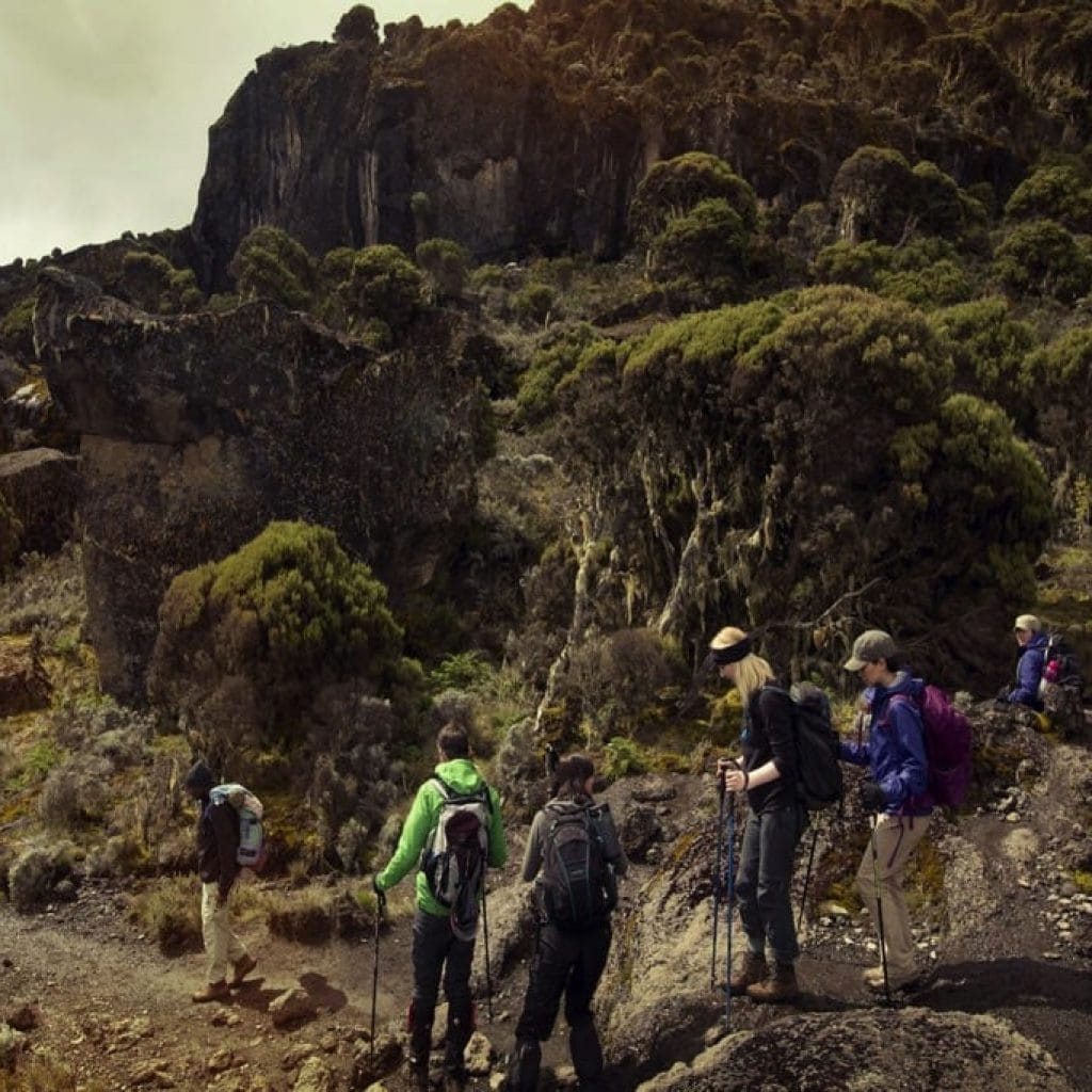 machame3