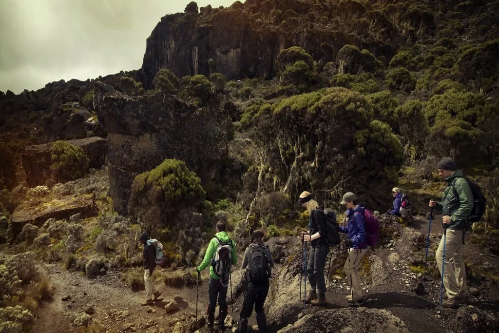 machame3