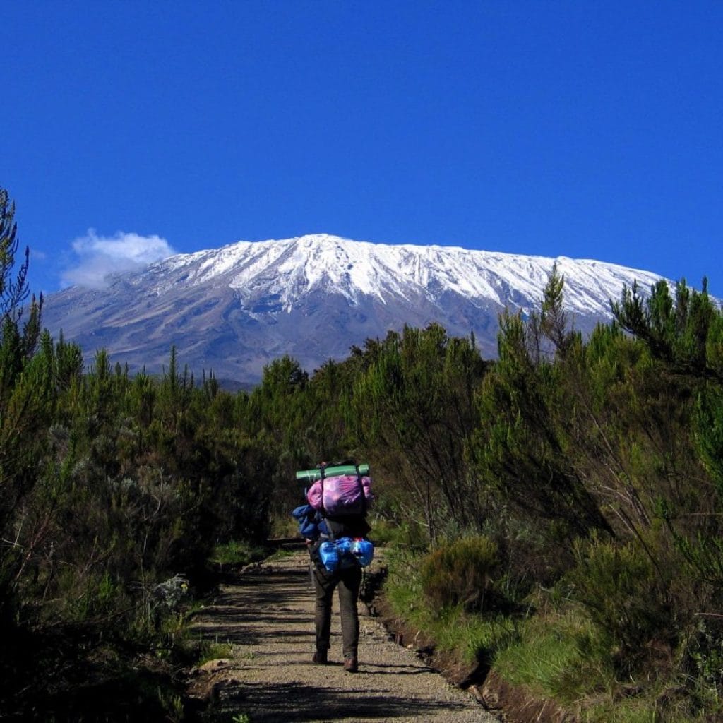 rongai8