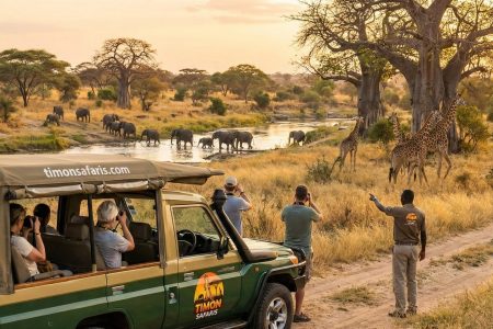 First African Safari