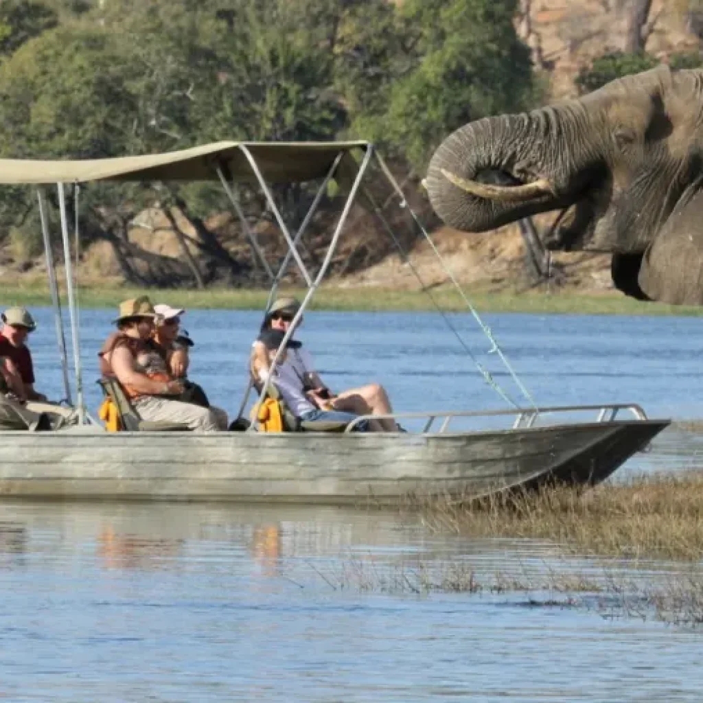 Boat safari on Chobe River watching hippos and elephants from the water, Botswana
