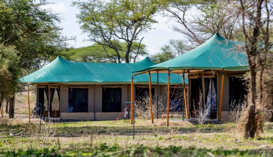 Serengeti Classic View Migration Camp – Kogatende