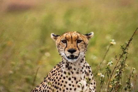 Serengeti National Park