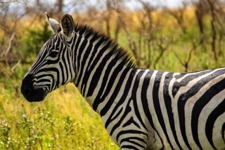 Serengeti National Park