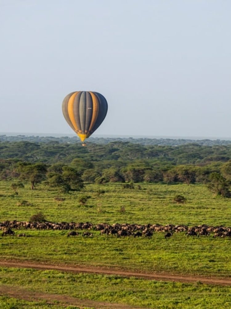 Hot Air Balloon Safari