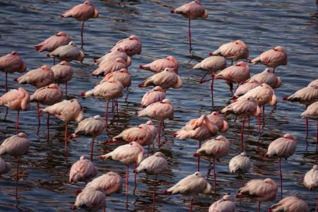 Arusha National Park