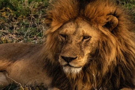 Serengeti National Park