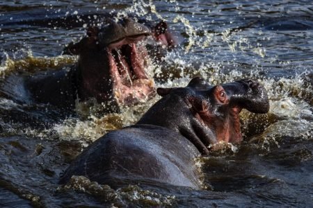 Serengeti National Park