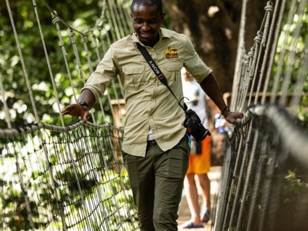 Treetop Walkway